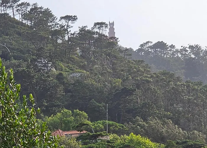 Pensjonat Sintra Chalet